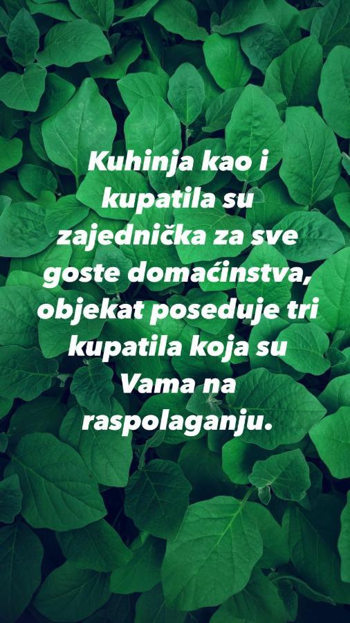 Konaci Nikola Banja Vrujci Hotel Gornja Toplica Luaran gambar