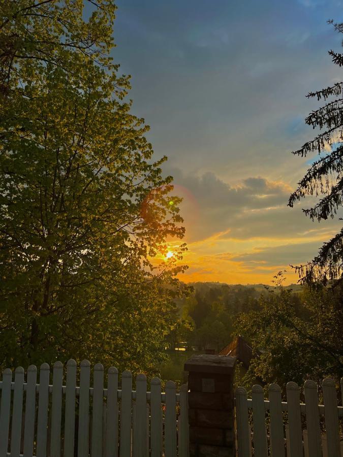Konaci Nikola Banja Vrujci Hotel Gornja Toplica Luaran gambar